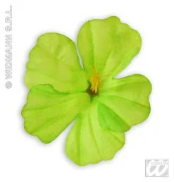 Set Van 18 Hibiscus Bloemen -Muziek & Popsterren Winkel 2379h g 3