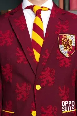 Harry Potter Zweinstein Griffoendor Wapen Man Kostuum 15 Harry Potter Zweinstein Griffoendor Wapen Man Kostuum -Muziek & Popsterren Winkel osui 0080 2 12
