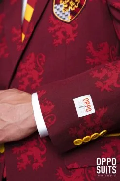 Harry Potter Zweinstein Griffoendor Wapen Man Kostuum 17 Harry Potter Zweinstein Griffoendor Wapen Man Kostuum -Muziek & Popsterren Winkel osui 0080 4 12