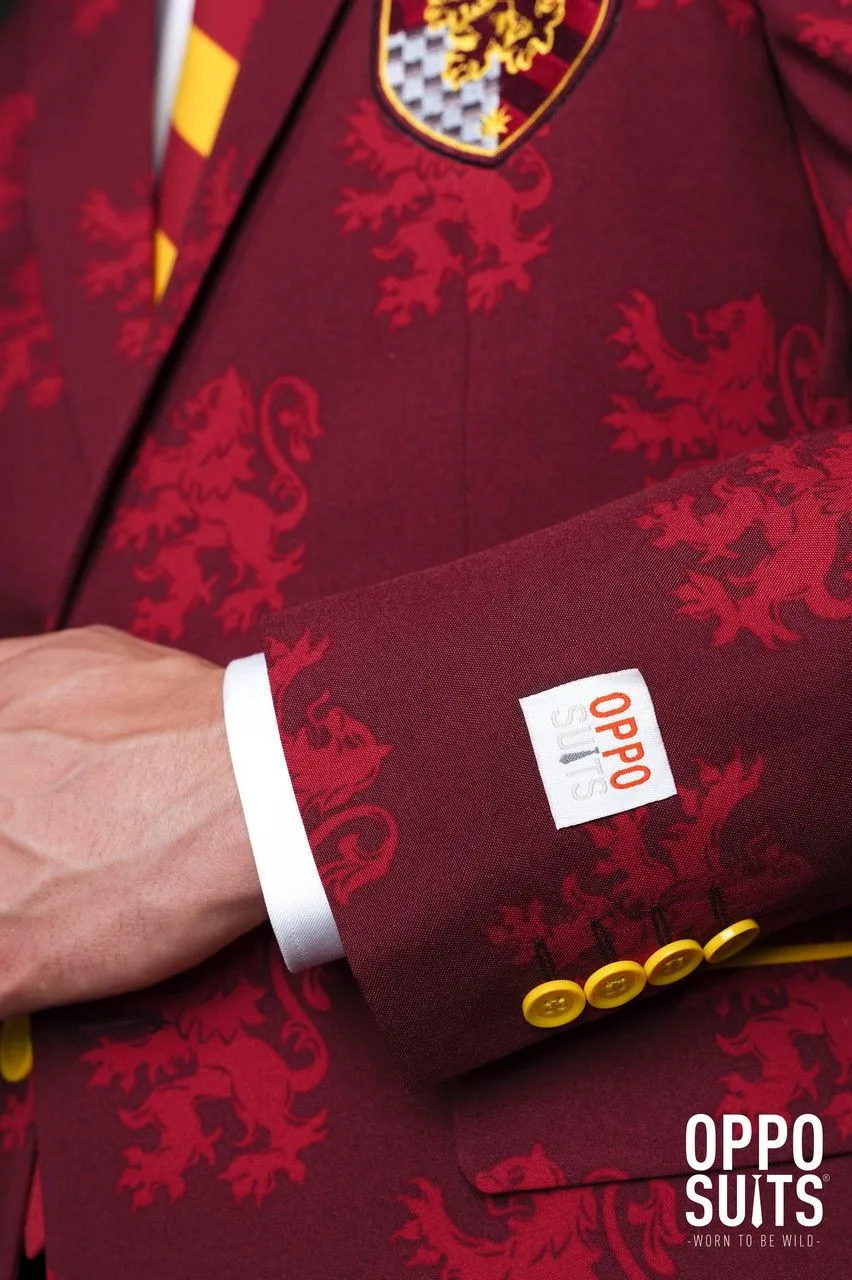 Harry Potter Zweinstein Griffoendor Wapen Man Kostuum 8 Harry Potter Zweinstein Griffoendor Wapen Man Kostuum - Afbeelding 8