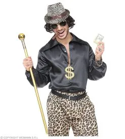 Foute Gouden Rapper Set Zonnebril, Ketting, Armband -Muziek & Popsterren Winkel wdm 2018 07798 3 1