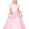 Roze Droom Prinses Aleida Meisje Kostuum